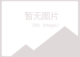 安图县凌乱化学有限公司